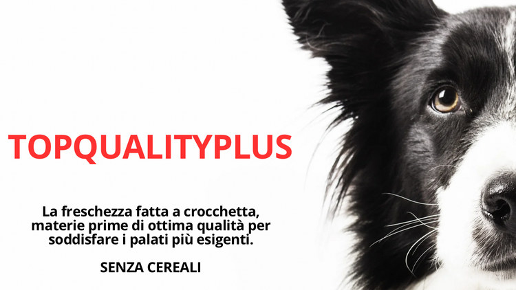 TopQualityPlus